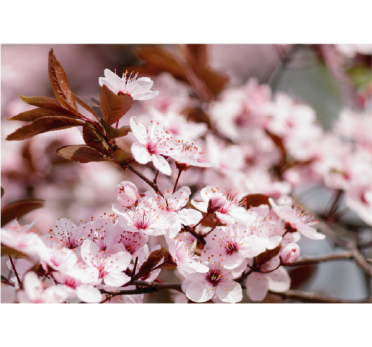 リビング カーテン ブラインド 桜の花 - TENSTICKERS