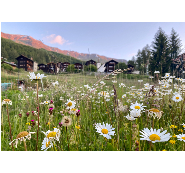 リビング カーテン ブラインド 村の花と風景 - TENSTICKERS