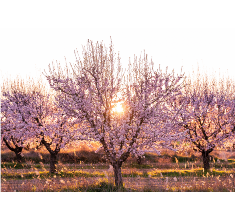 リビング カーテン ブラインド 花が咲くピンクの風景 - TENSTICKERS