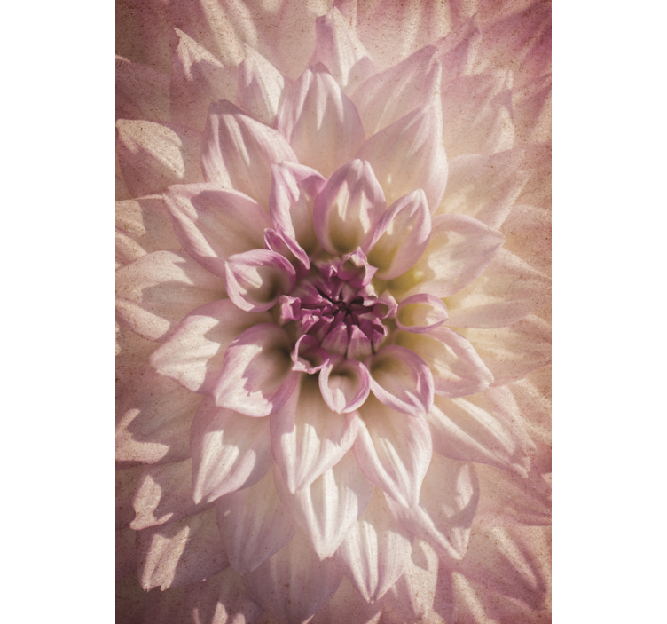 ブラインド 花や植物 繊細な花々 - TENSTICKERS