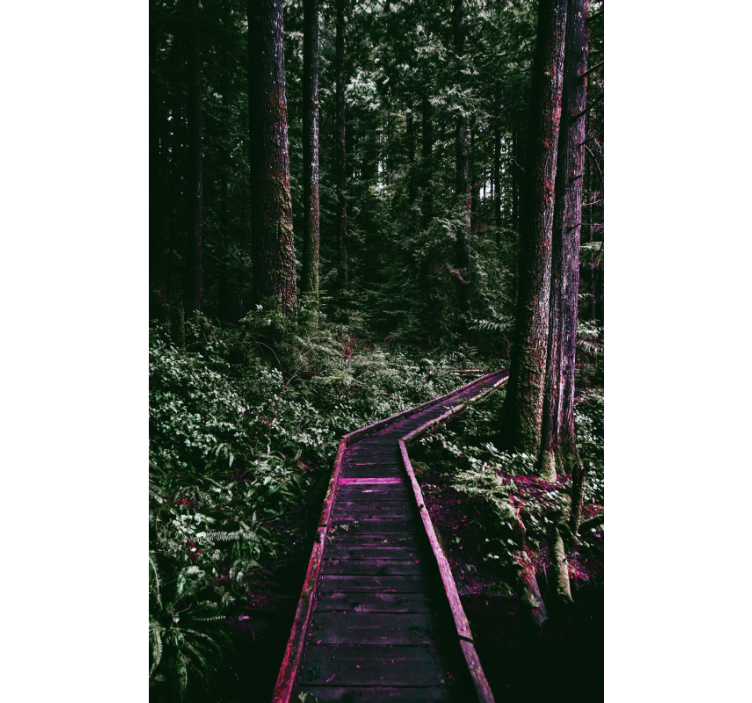 ブラインド木の森の小道 - TENSTICKERS