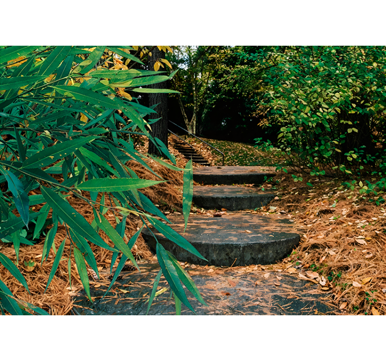 3dの森と小さな道路のオリジナルのローラーブラインド - TENSTICKERS