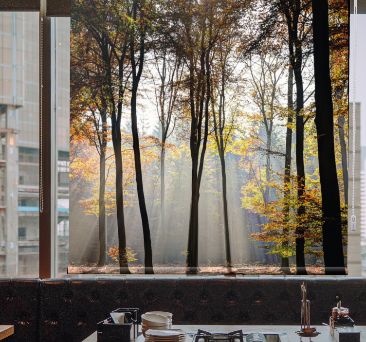 ブラインド 木 日差しの差し込む森の風景 - TENSTICKERS