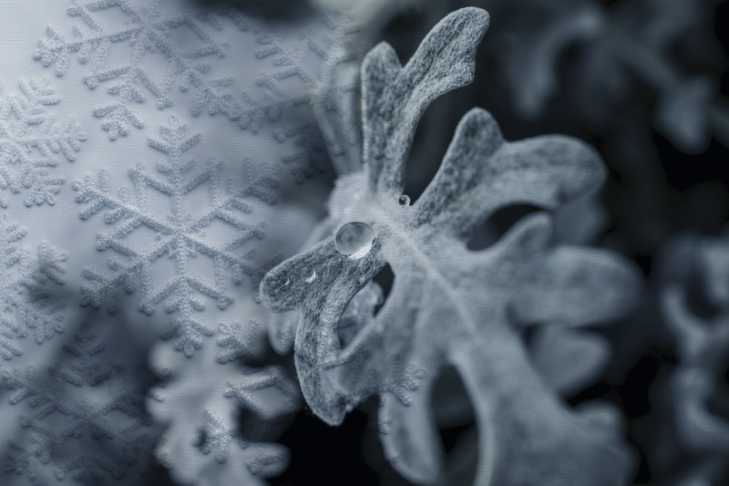 ランチョン マット 柄 エレガントな雪の結晶パターン - TENSTICKERS