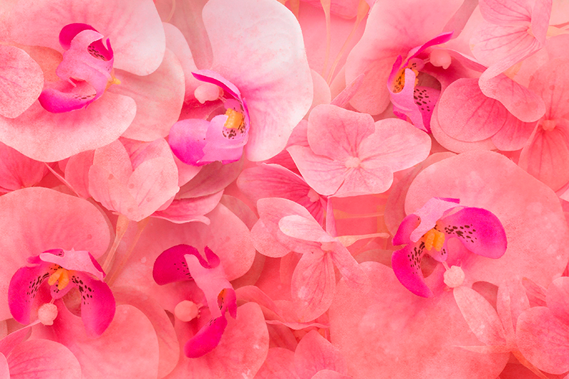 ランチョン マット 柄 優雅な花の構成 - TENSTICKERS