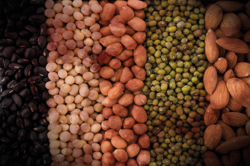 ランチョン マット 柄 ミックスナッツバラエティ - TENSTICKERS