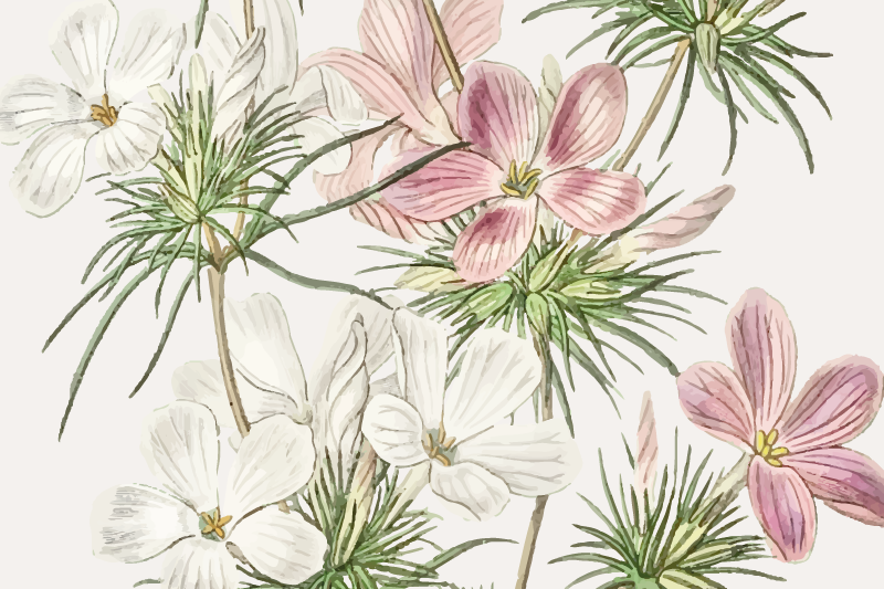 オリジナル ランチョンマット フローラル ボタニカル アレンジメント - TENSTICKERS