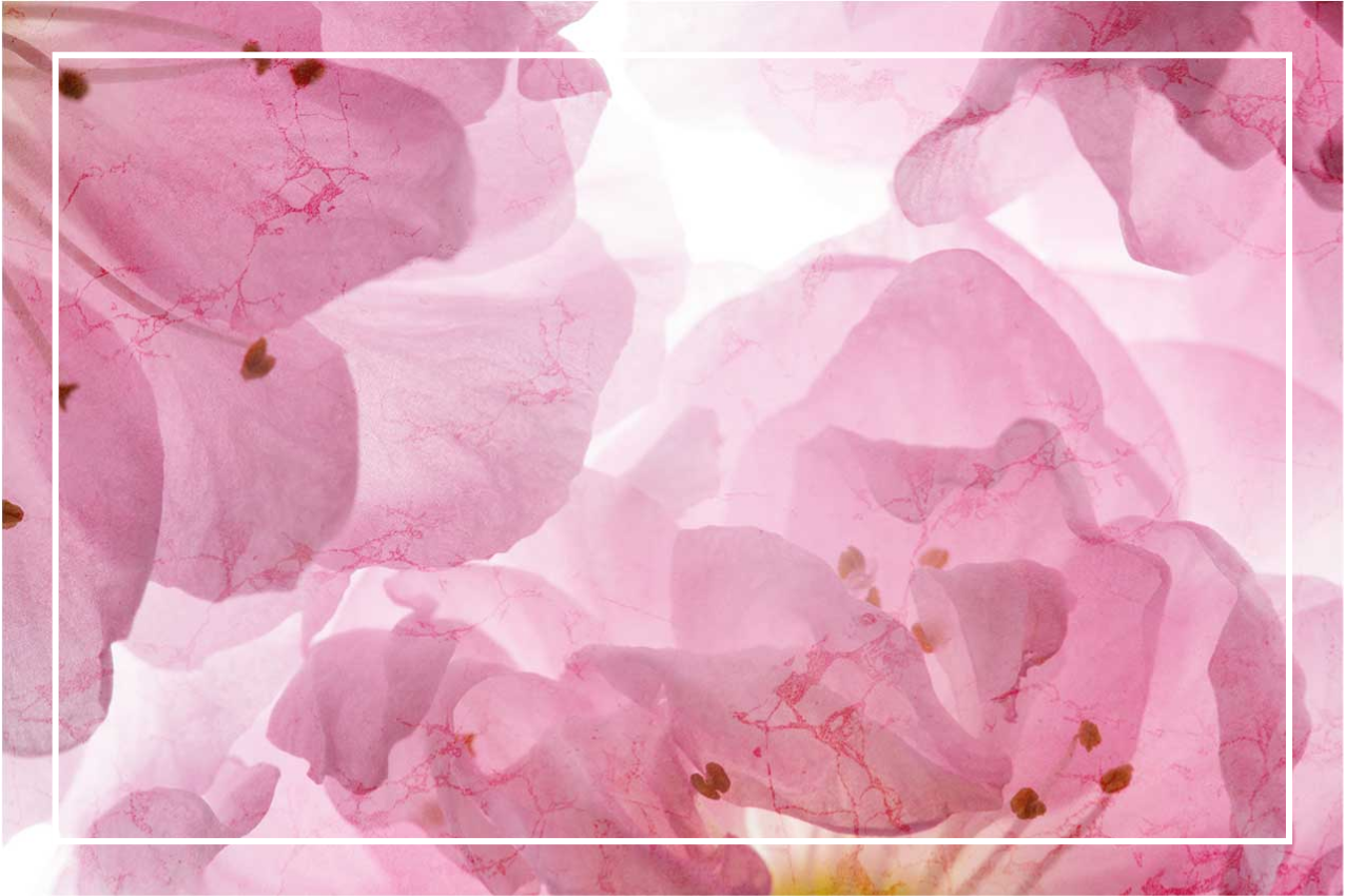 ランチョンマット エレガント ソフトフローラルパターン - TENSTICKERS