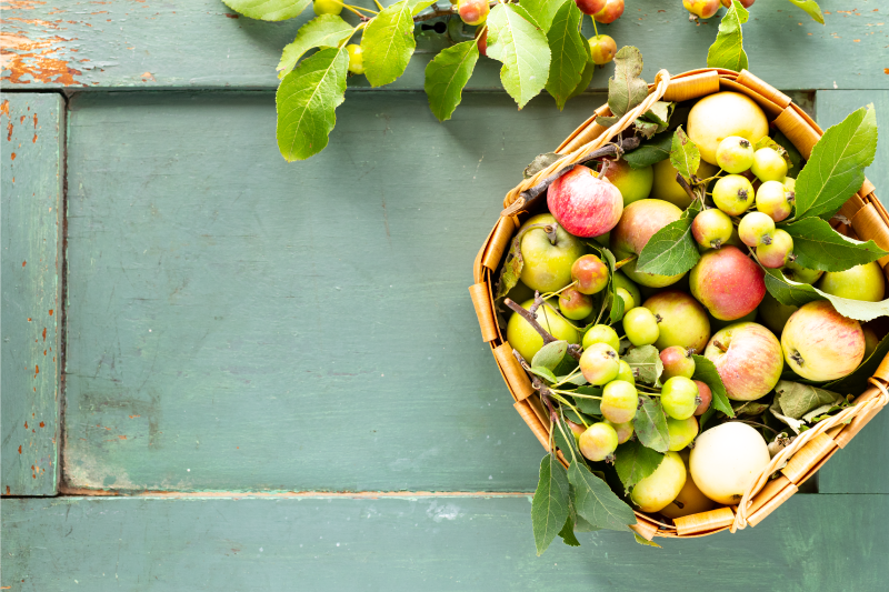 ランチョンマット 家 フルーツバスケットアレンジメント - TENSTICKERS