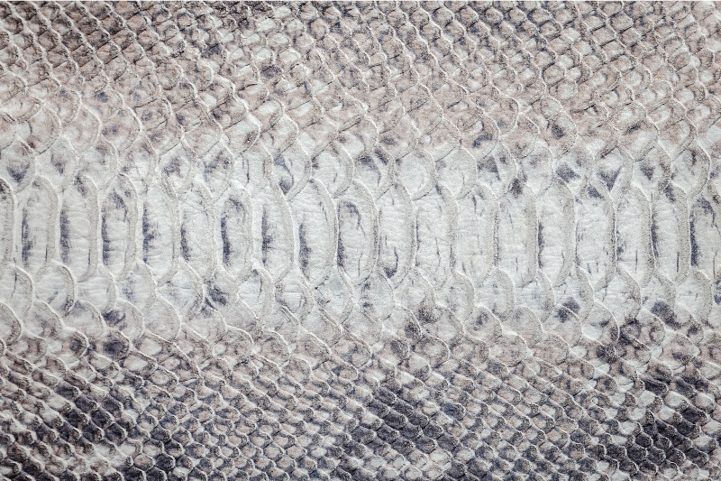 ランチョン マット 柄 蛇の皮テクスチャ - TENSTICKERS