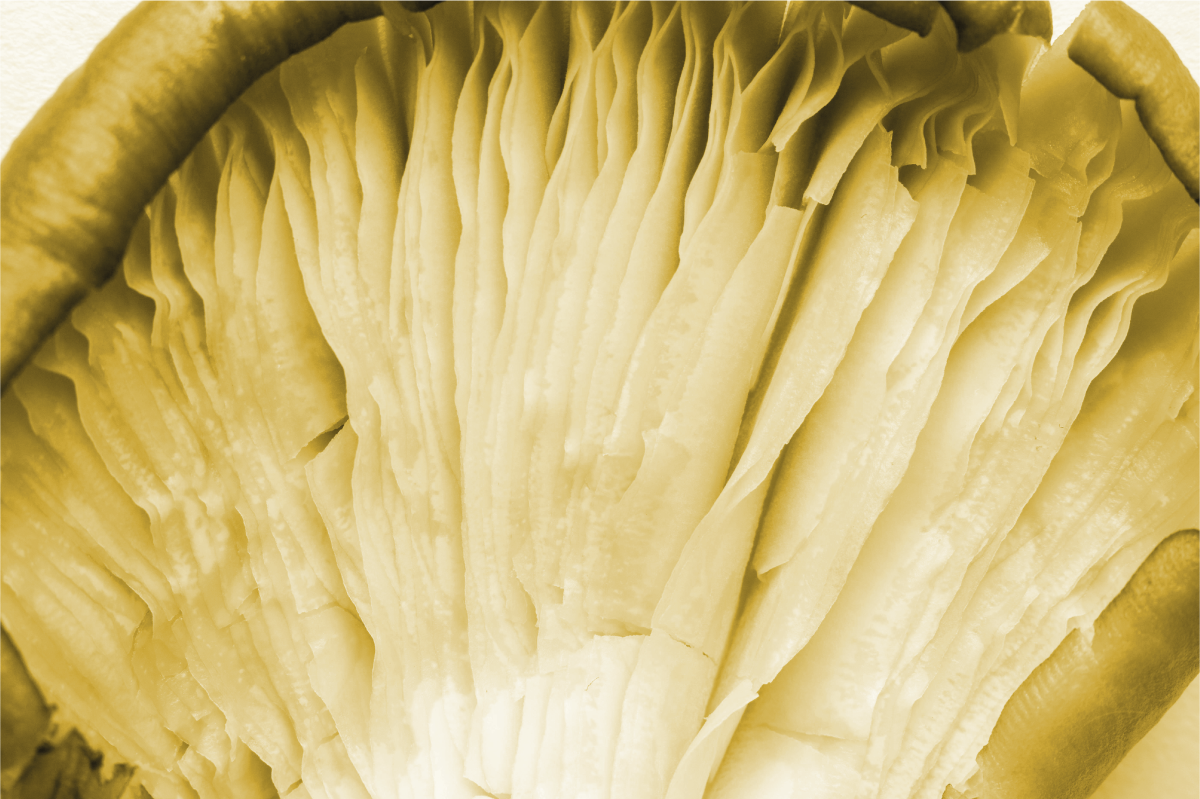 ランチョン マット 柄 曲線的な葉の層 - TENSTICKERS