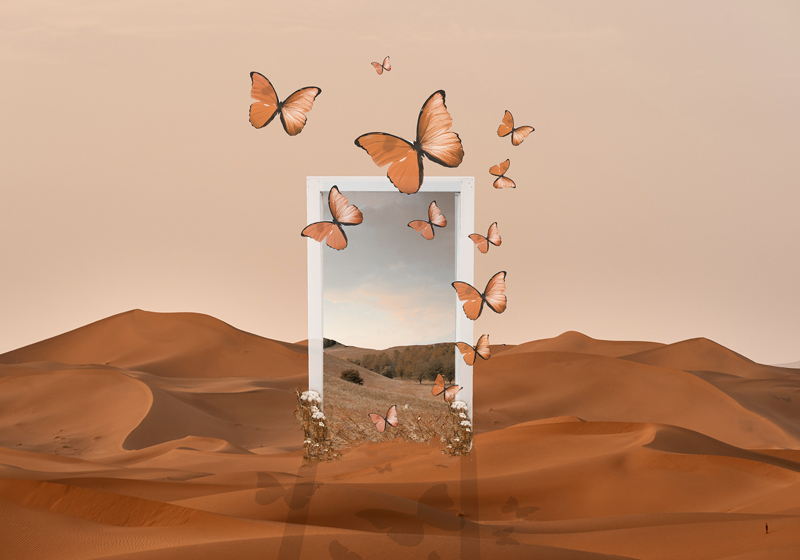 オリジナル ランチョンマット 蝶の羽化フレーム - TENSTICKERS