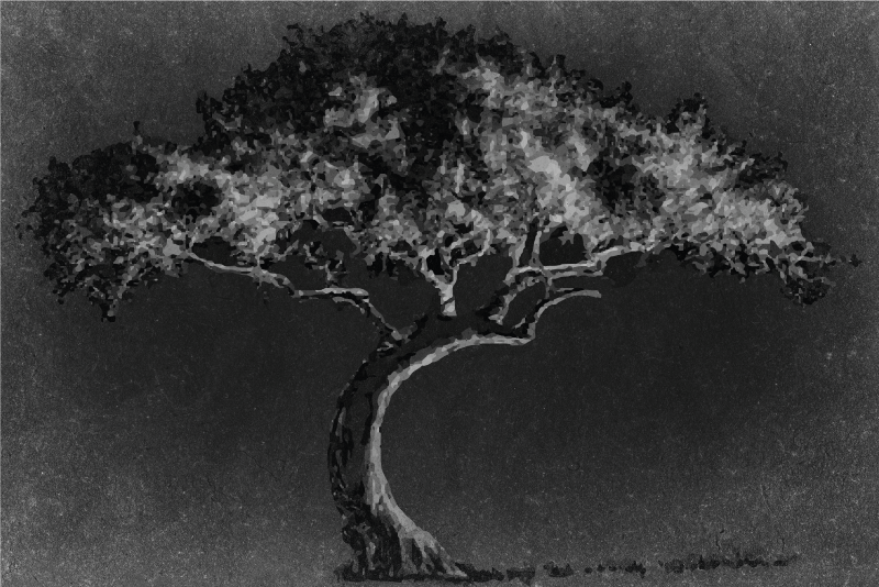 ランチョン マット 柄 芸術的な木のシルエット - TENSTICKERS