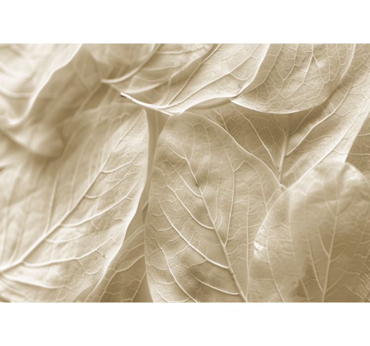 主寝室 壁画 大きなベージュの葉 - TENSTICKERS