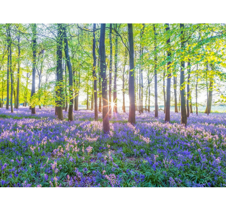 森の壁の壁画自然をテーマにした現代主義 - TENSTICKERS