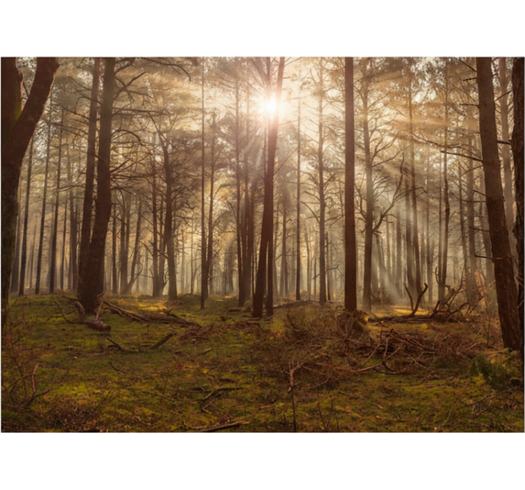 森の壁の壁画ゴールデンワイルドライフラウンジ - TENSTICKERS