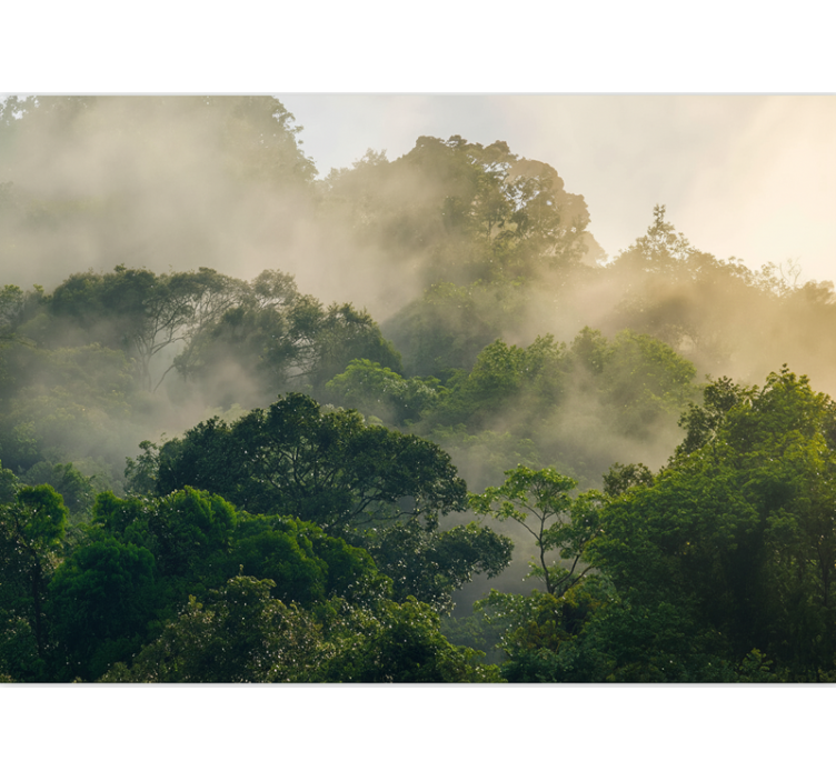 森の壁の壁画豊かなジャングルの天蓋 - TENSTICKERS