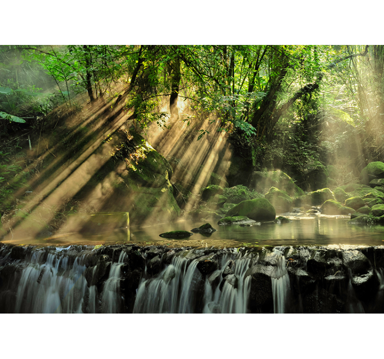 秘密の森の風景壁画 - TENSTICKERS