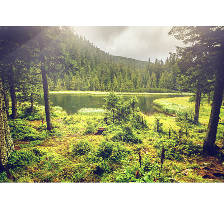 緑の木々森壁壁画 - TENSTICKERS