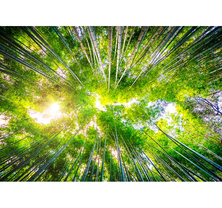 竹の壁の壁画 - TENSTICKERS