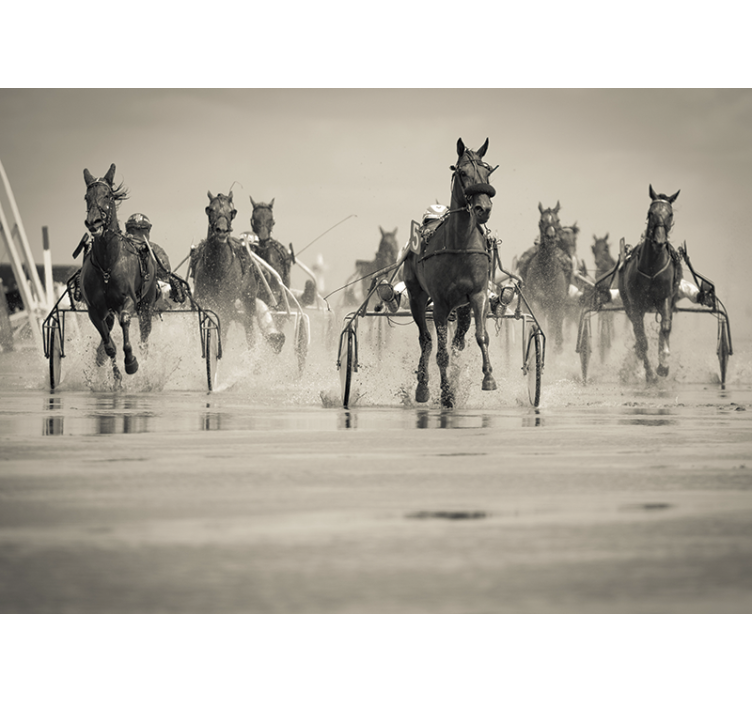 動物 壁画 一緒に競走する馬 - TENSTICKERS