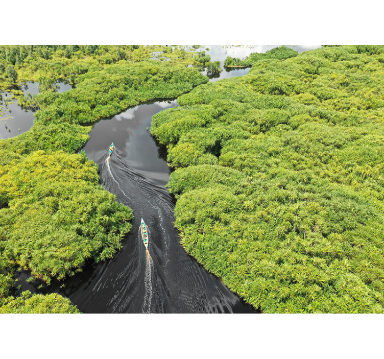 風景壁壁画 風光明媚な川の旅 - TENSTICKERS