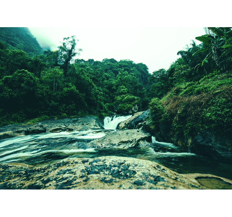 アマゾン川の森の壁の壁画 - TENSTICKERS