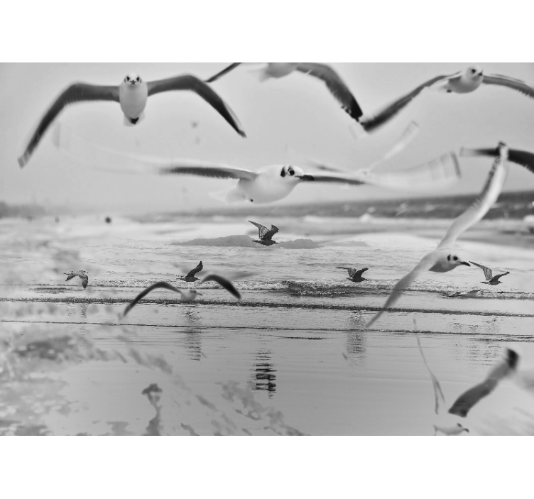 動物 壁画 海上のカモメ - TENSTICKERS