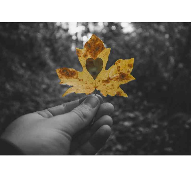 自然 壁画 ハート型の葉 - TENSTICKERS