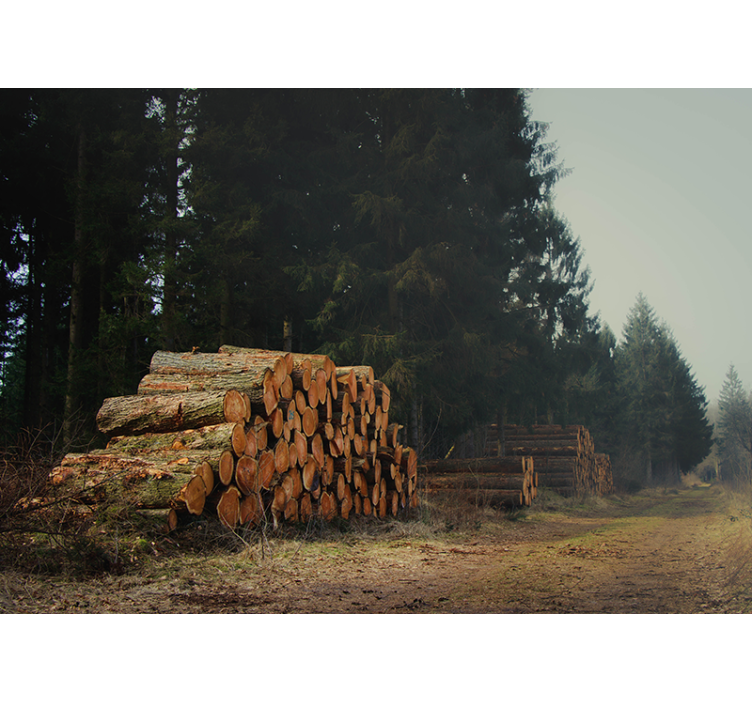 森の丸太杭壁壁画 - TENSTICKERS