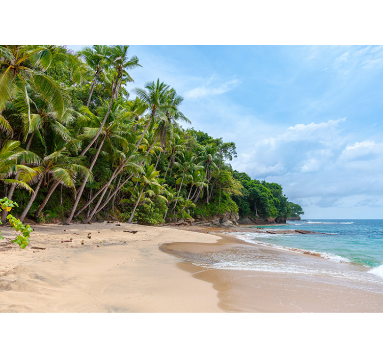 自然 壁画 トロピカルショアオアシス - TENSTICKERS