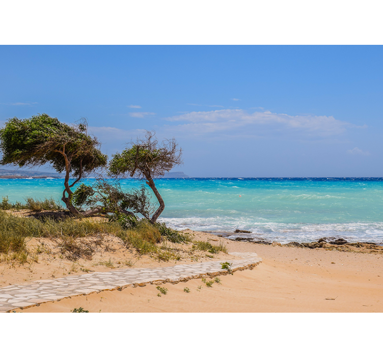 壁画 海 穏やかな風景の道 - TENSTICKERS