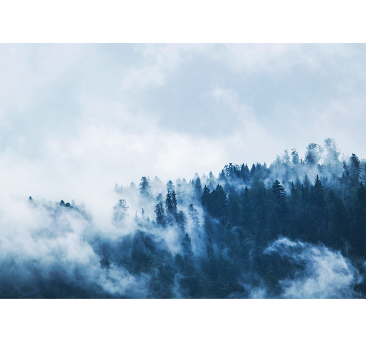 自然 壁画 森の霧に包まれた風景 - TENSTICKERS