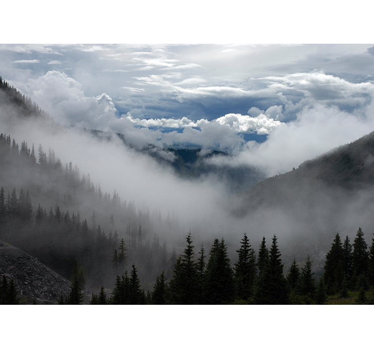 風景壁壁画 霧の森の風景 - TENSTICKERS