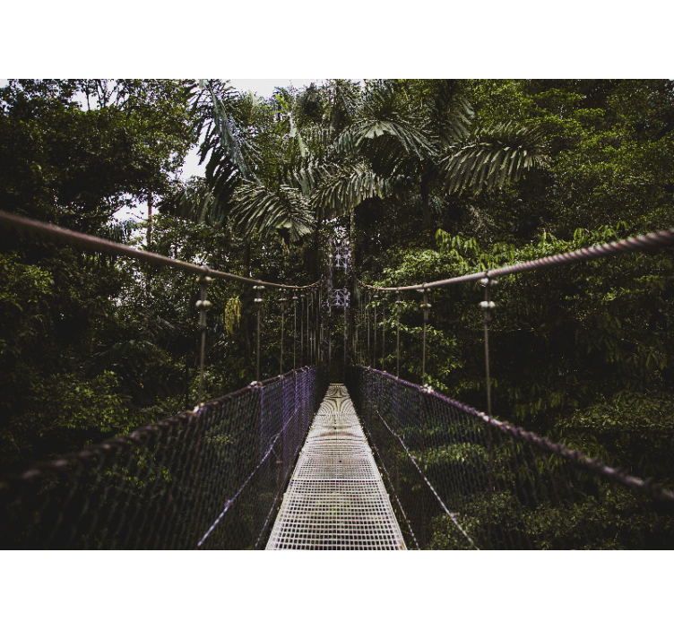 自然 壁画 吊り橋の冒険 - TENSTICKERS