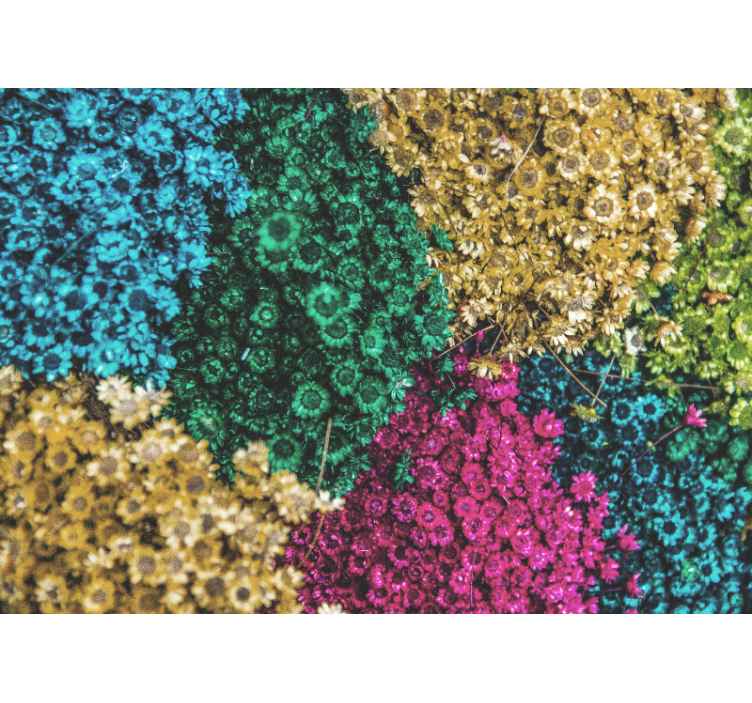 花 柄 壁画 カラフルな花の模様 - TENSTICKERS