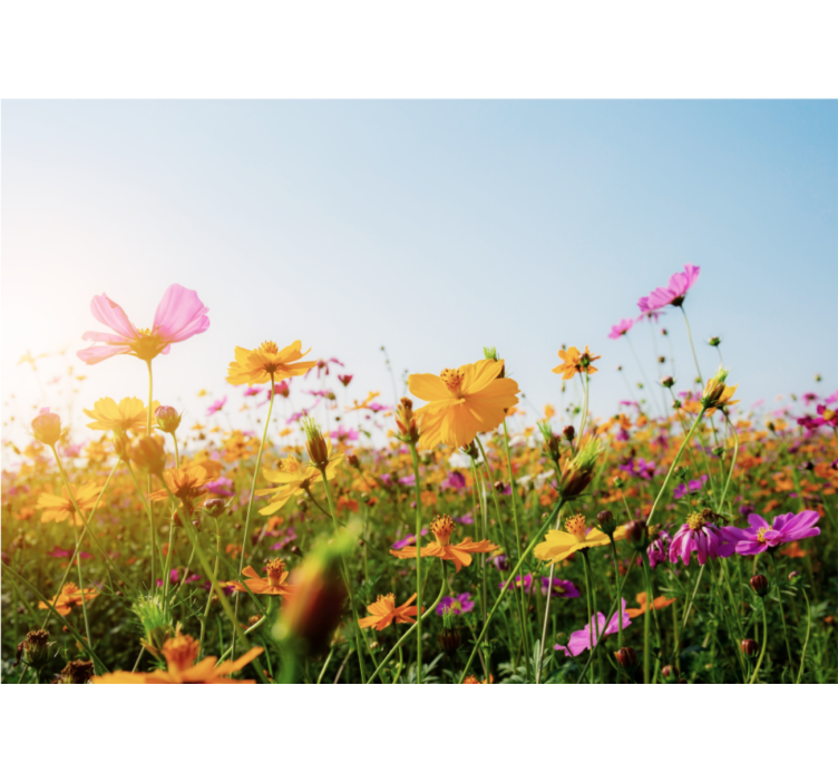 花 柄 壁画 カラフルな花々の壁画 - TENSTICKERS