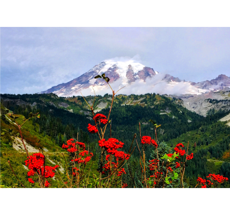 風景壁壁画雪に覆われた山 - TENSTICKERS