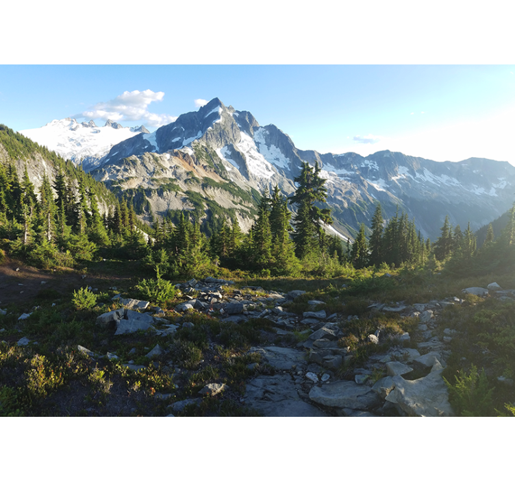 風景壁壁画山岳森林の眺め - TENSTICKERS