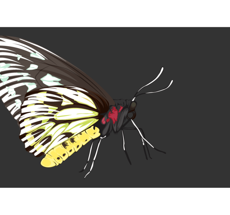 その他の壁面壁画イエローバタフライデザイン - TENSTICKERS