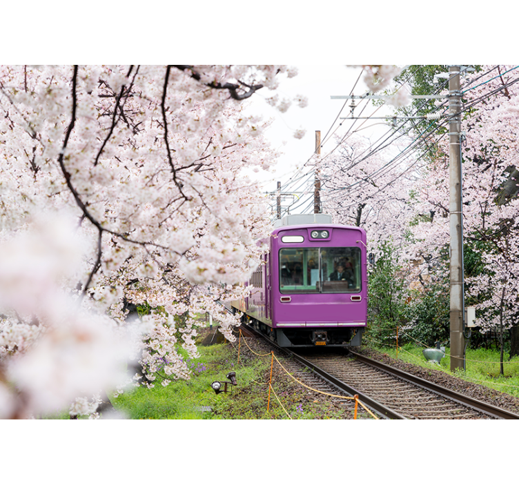 鉄道の壁画に沿って桜が咲く - TENSTICKERS