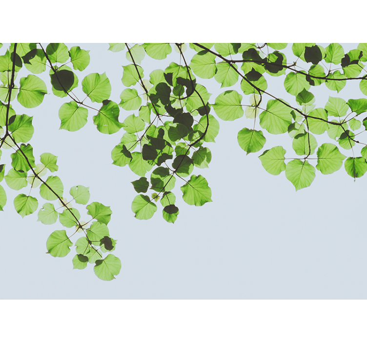 壁画 木 緑の葉の枝の天蓋 - TENSTICKERS