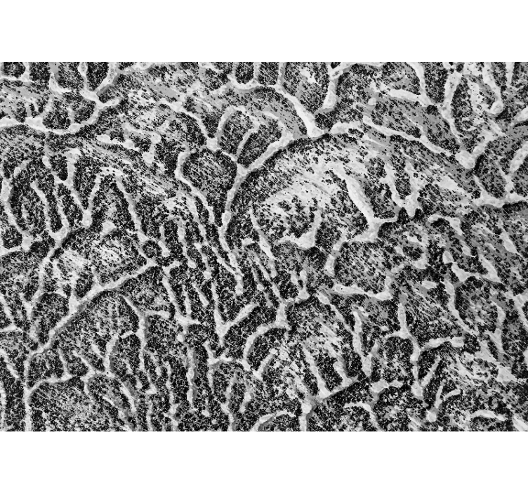 テクスチャとパターン 壁画 有機的テクスチャパターン - TENSTICKERS