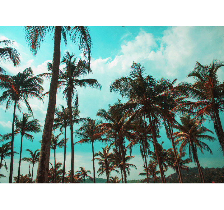 自然 壁画 パームツリーの楽園 - TENSTICKERS