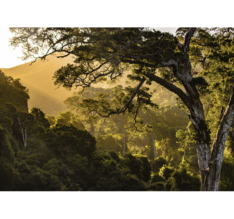 自然 壁画 緑豊かな森の風景 - TENSTICKERS