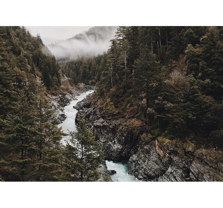 自然 壁画 壮大な川の風景 - TENSTICKERS