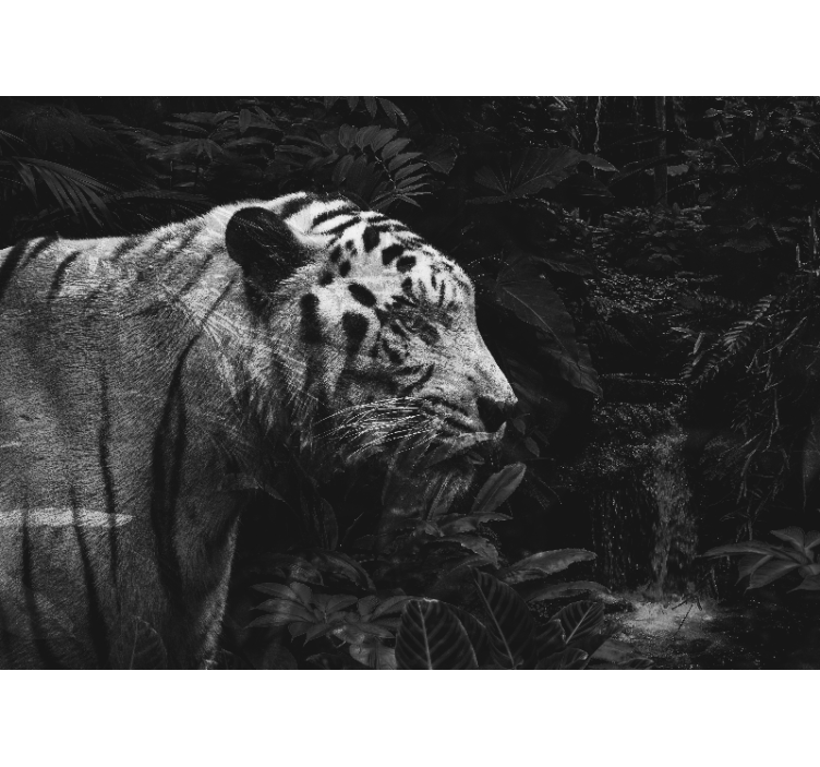 動物 壁画 優雅なホワイトタイガー - TENSTICKERS