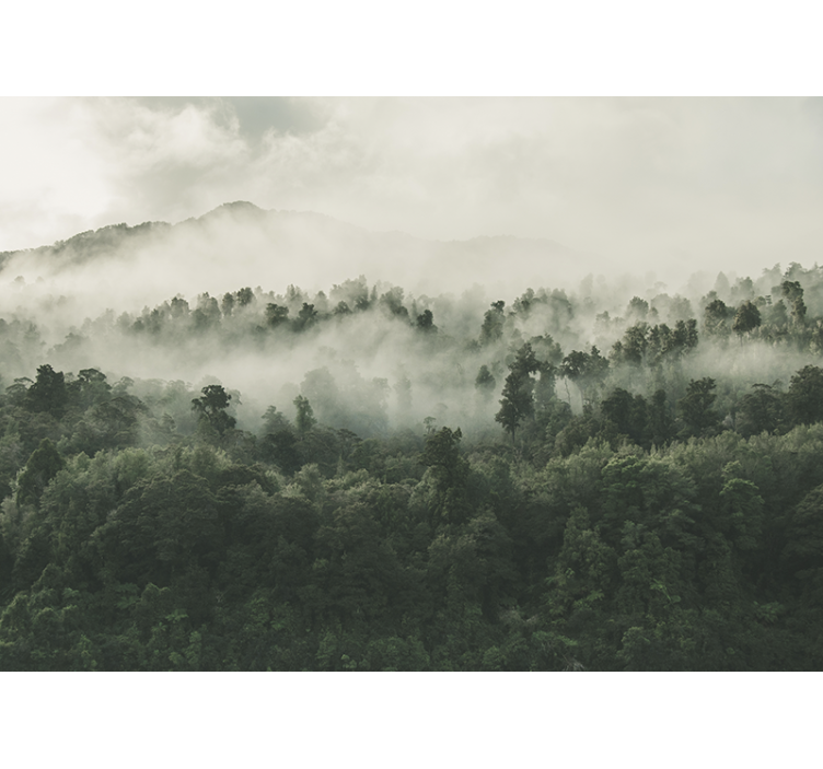 森の壁の壁画 上空から見た霧の森 - TENSTICKERS