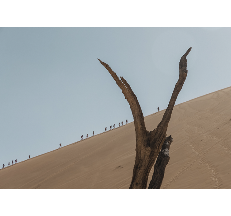 砂漠の壁の壁画砂丘ハイカーのシルエット - TENSTICKERS