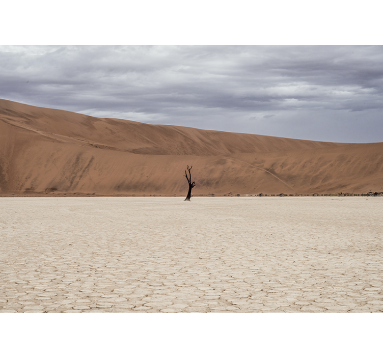 山 壁画 砂漠の風景展望 - TENSTICKERS